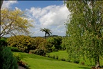 Georgie and Rhys's garden, New Plymouth, Taranaki, New Zealand